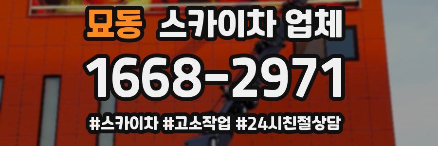 묘동 스카이차 업체