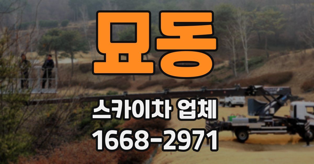 묘동 스카이차 업체