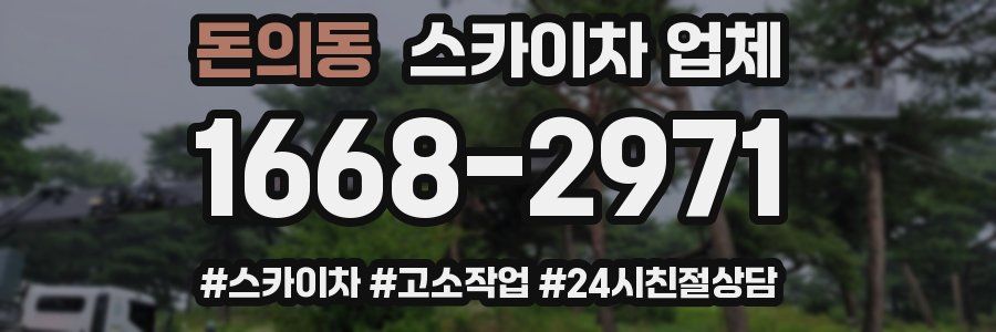 돈의동 스카이차 업체