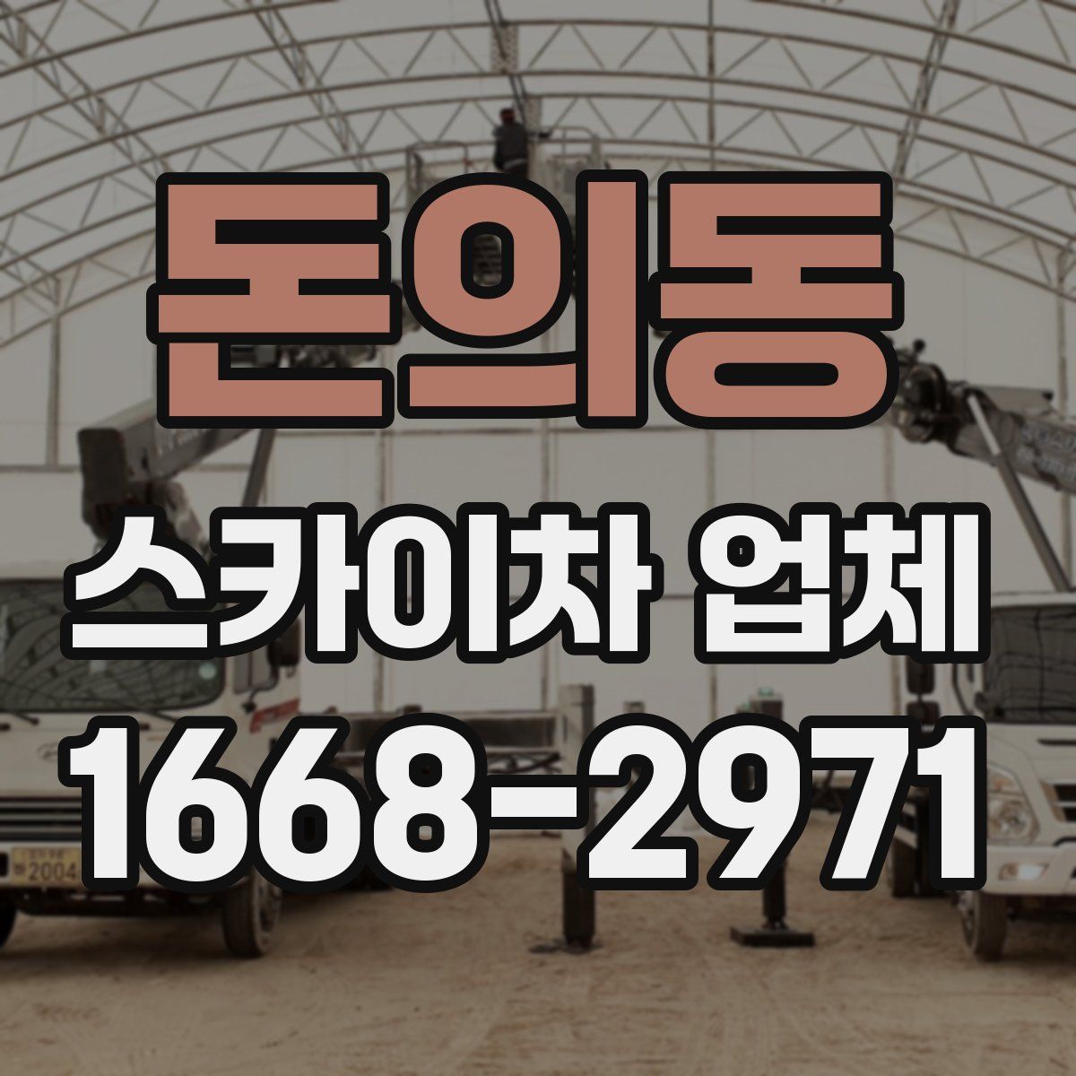 돈의동 스카이차 업체