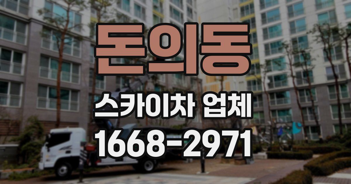 돈의동 스카이차 업체