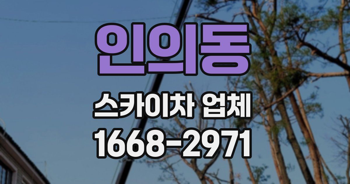 인의동 스카이차 업체
