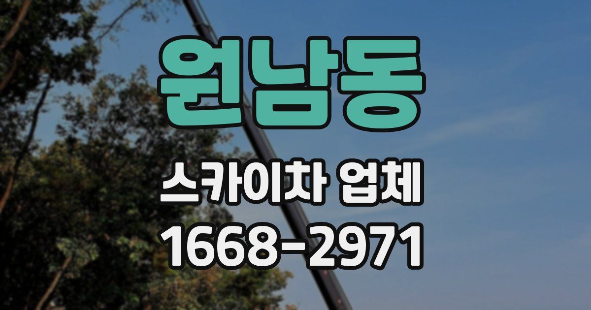 원남동 스카이차 업체