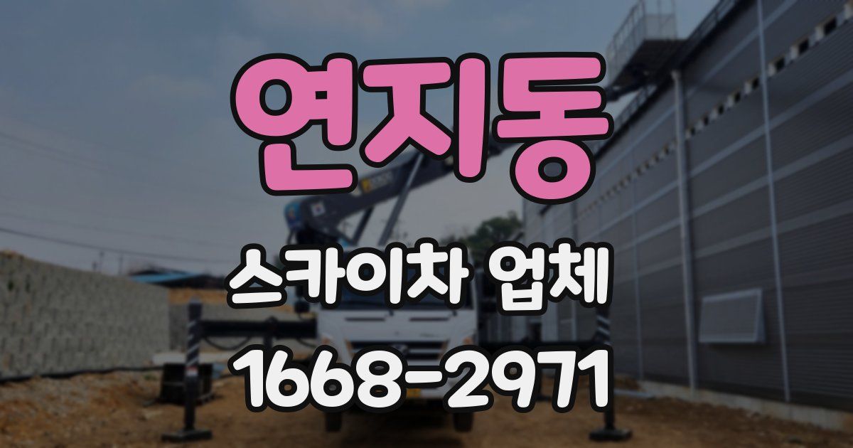 연지동 스카이차 업체