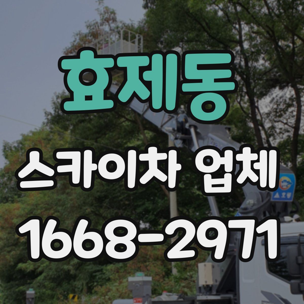 효제동 스카이차 업체