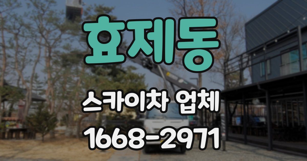 효제동 스카이차 업체