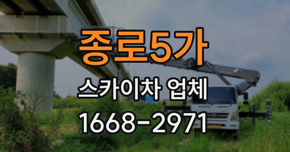종로5가 스카이차 업체
