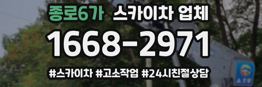 종로6가 스카이차 업체