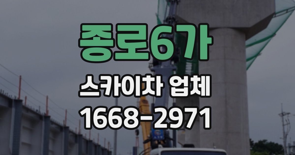 종로6가 스카이차 업체