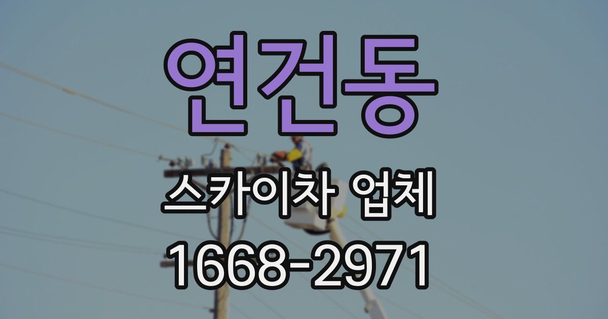 연건동 스카이차 업체