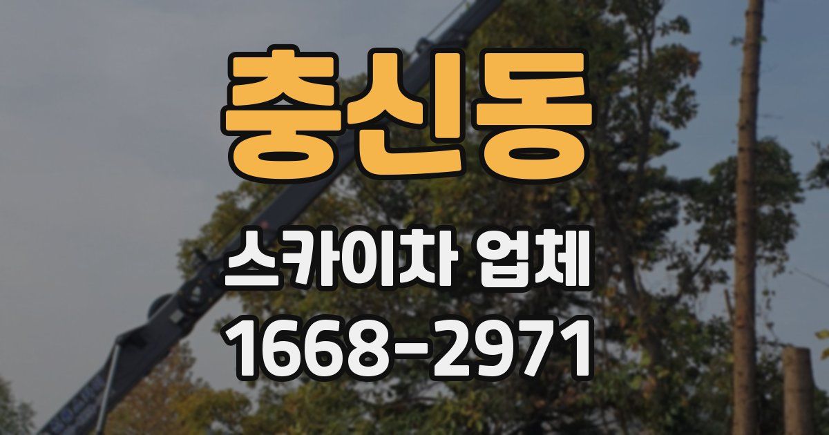충신동 스카이차 업체