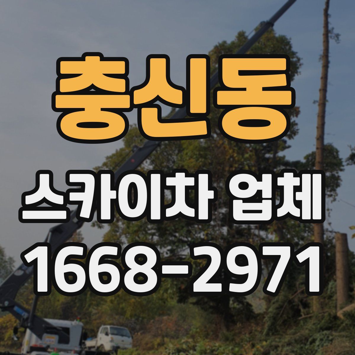 충신동 스카이차 업체
