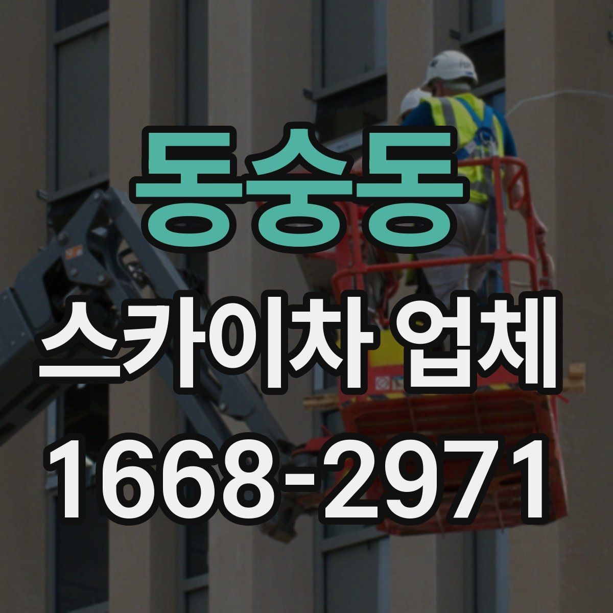 동숭동 스카이차 업체 선택에서 운전 경력도 중요한 이유