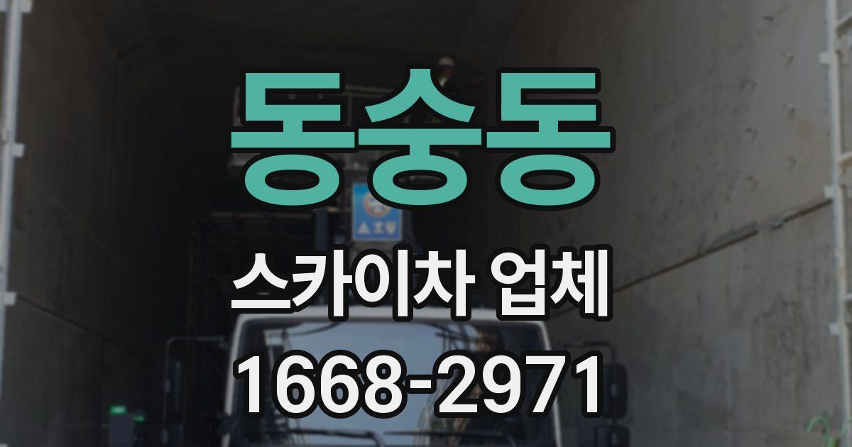 동숭동 스카이차 업체