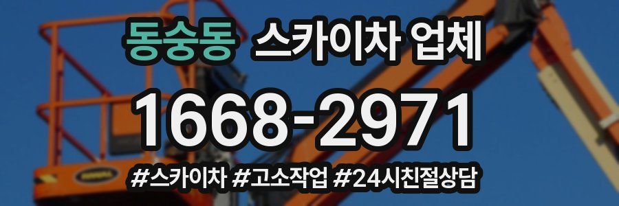 동숭동 스카이차 업체