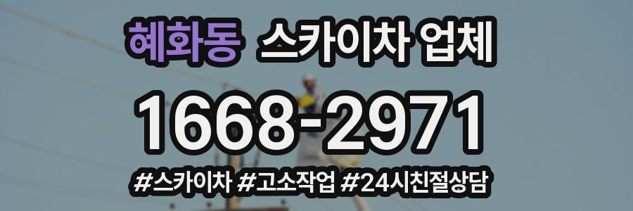 혜화동 스카이차 업체