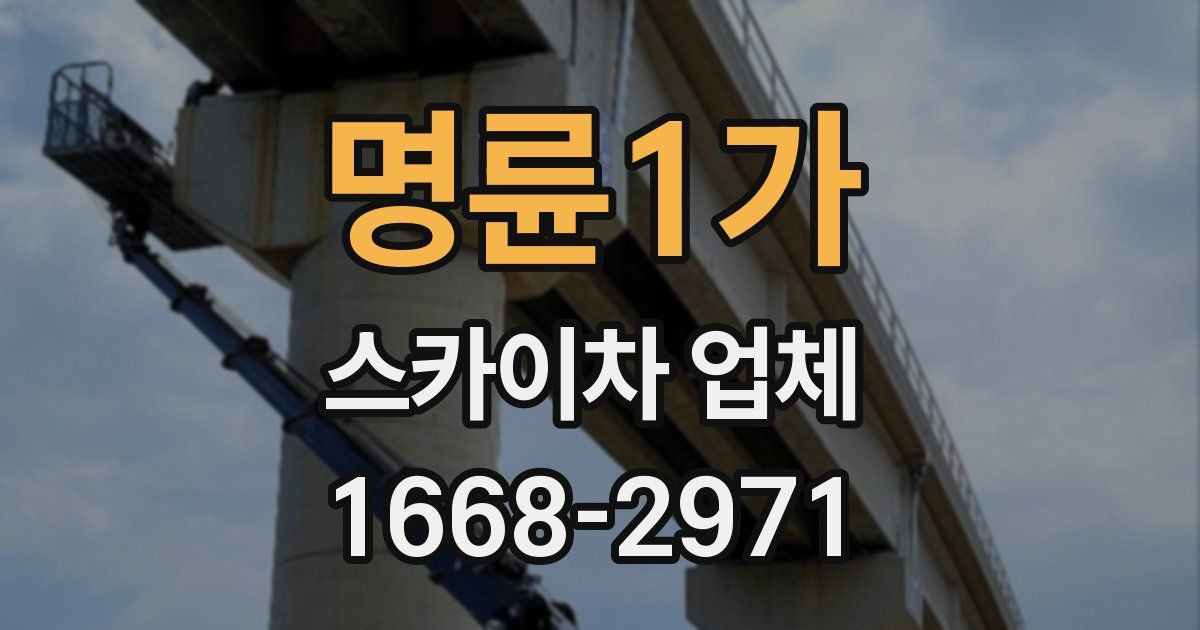 명륜1가 스카이차 업체