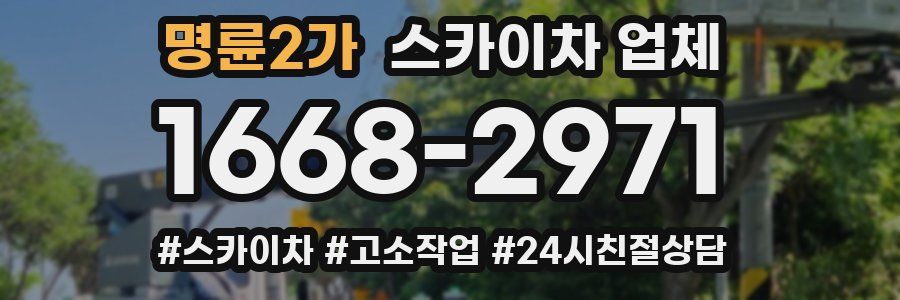 명륜2가 스카이차 업체