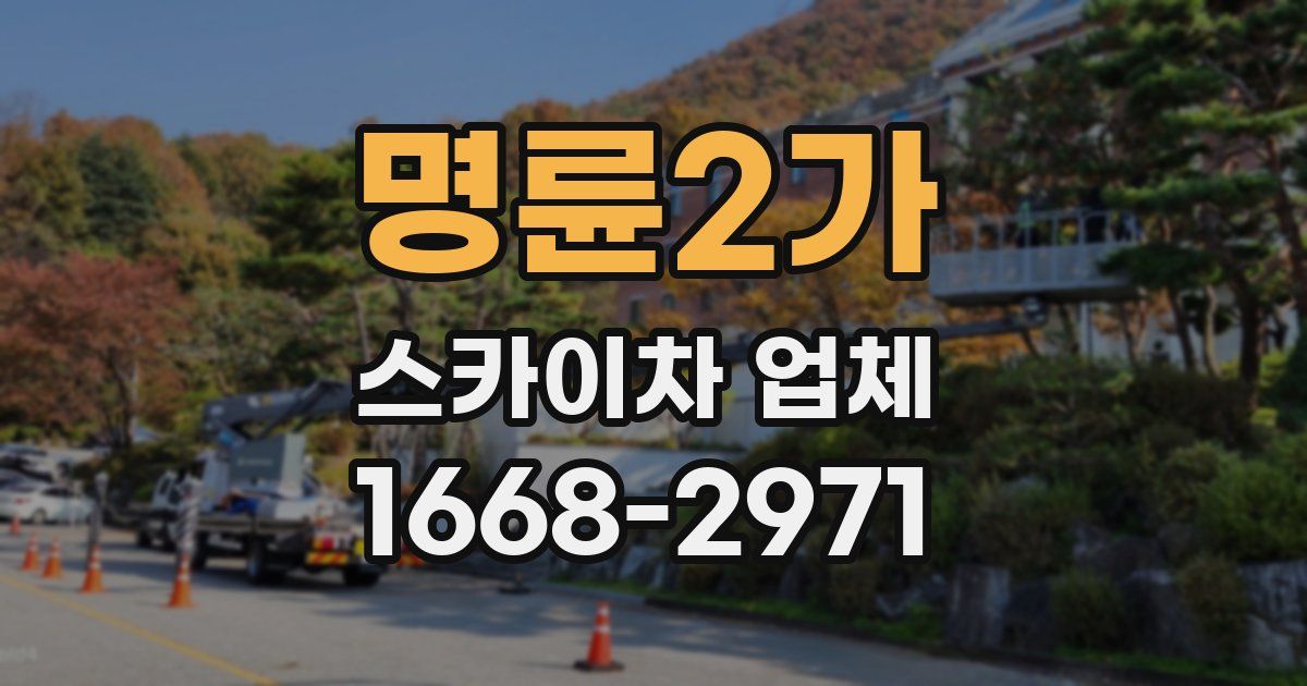 명륜2가 스카이차 업체