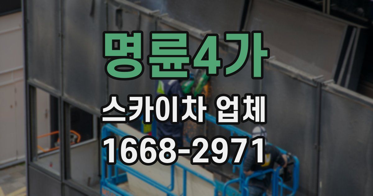 명륜4가 스카이차 업체
