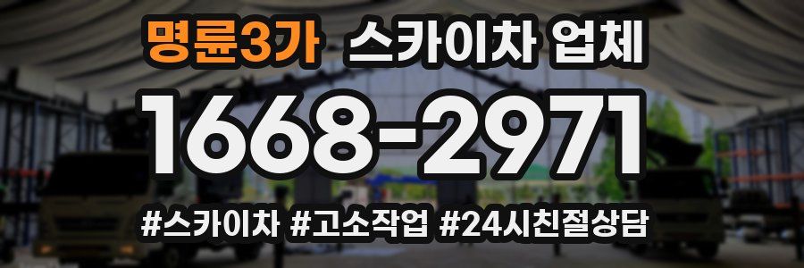 명륜3가 스카이차 업체
