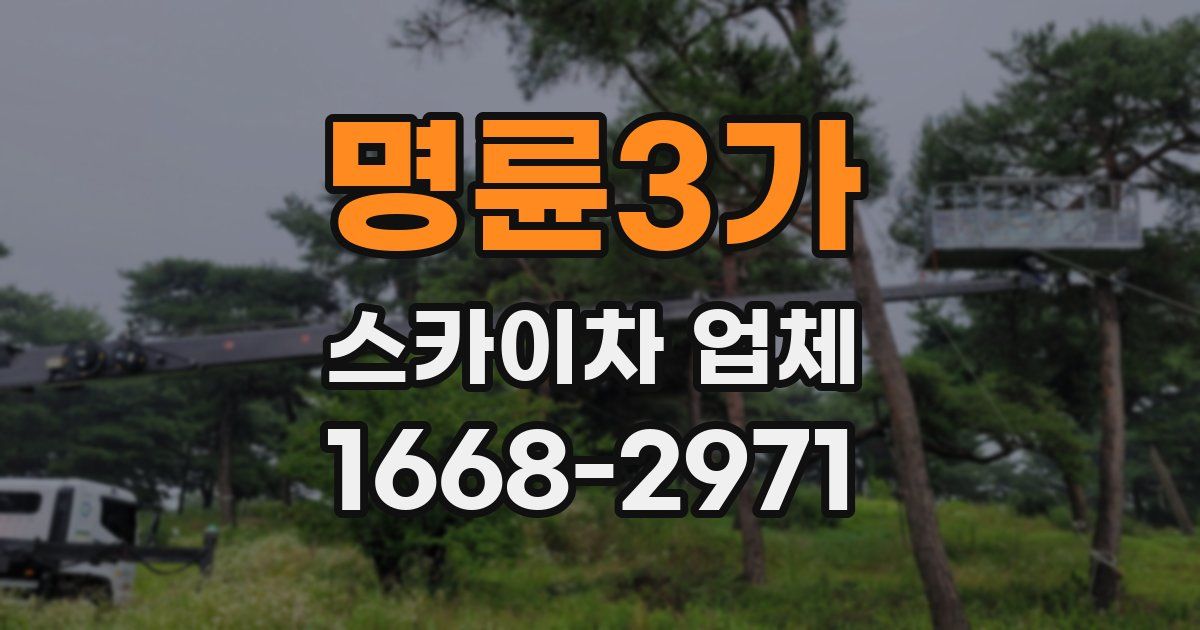 명륜3가 스카이차 업체
