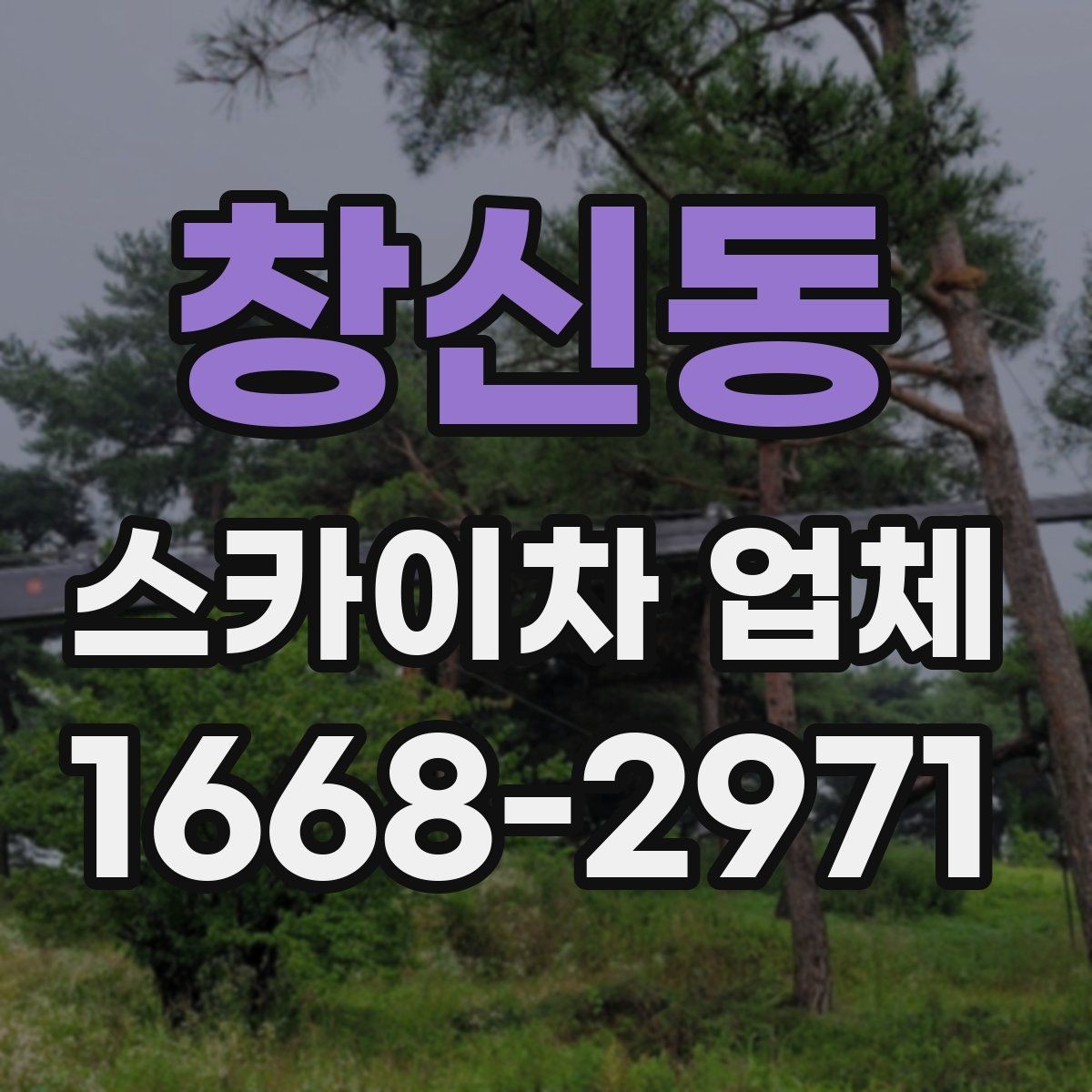 창신동 스카이차 업체 후기에서 자주 보는 포인트