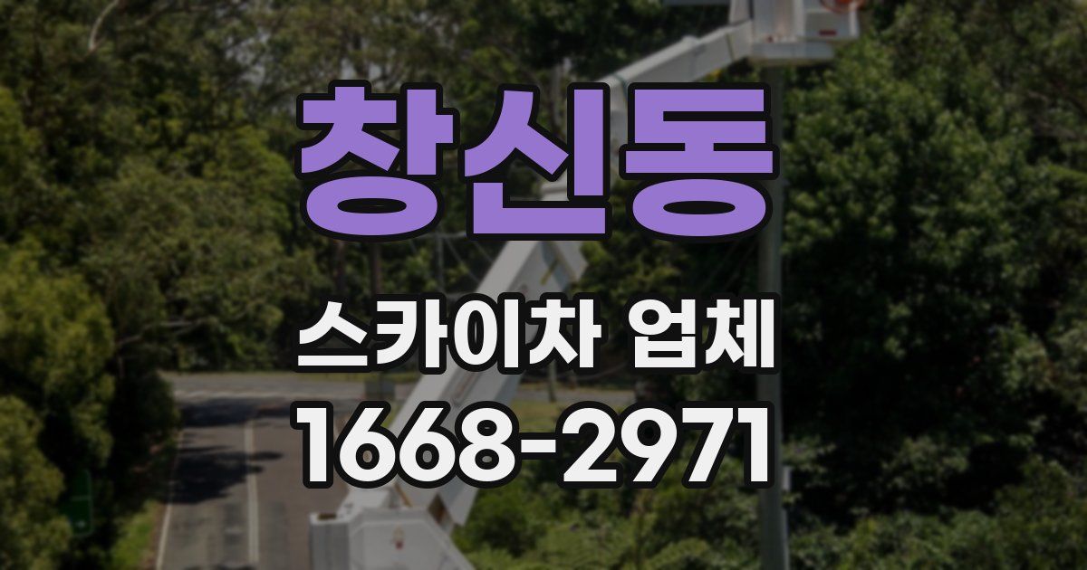 창신동 스카이차 업체
