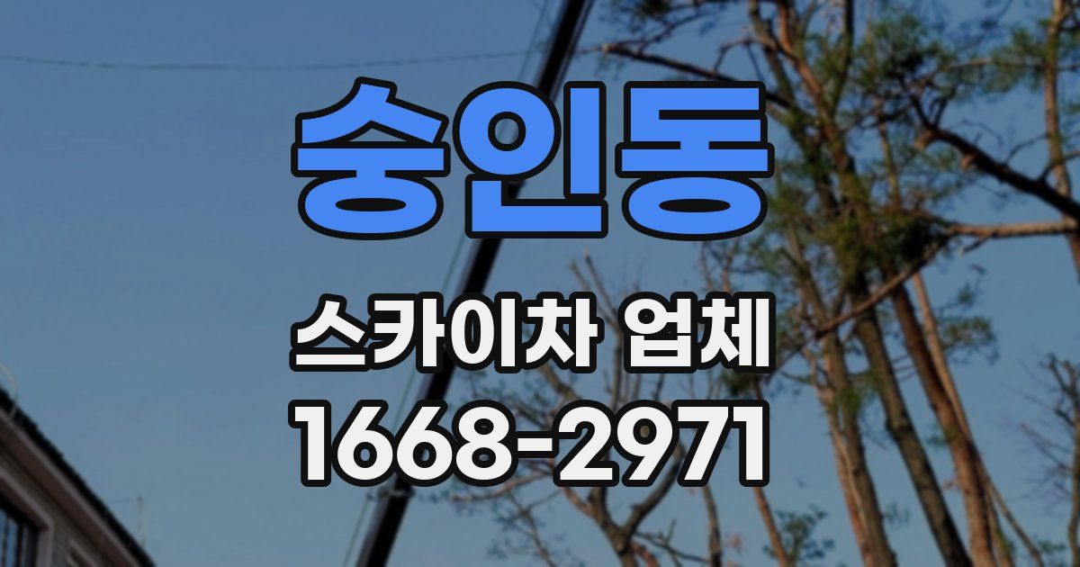 숭인동 스카이차 업체