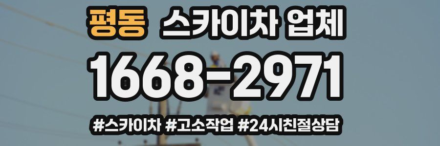 평동 스카이차 업체