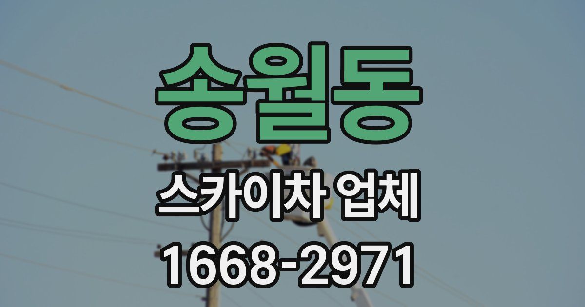 송월동 스카이차 업체