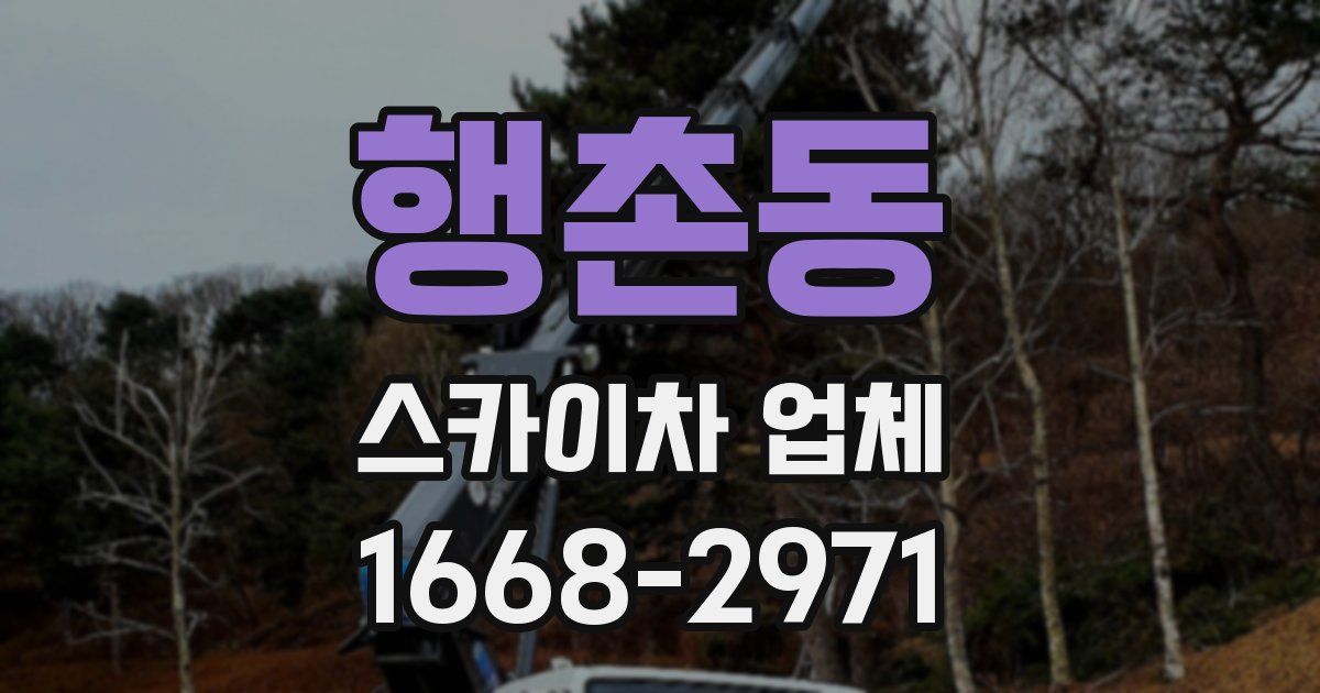 행촌동 스카이차 업체