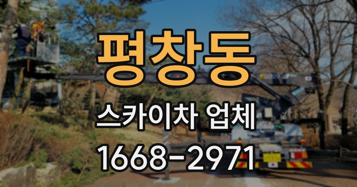 평창동 스카이차 업체