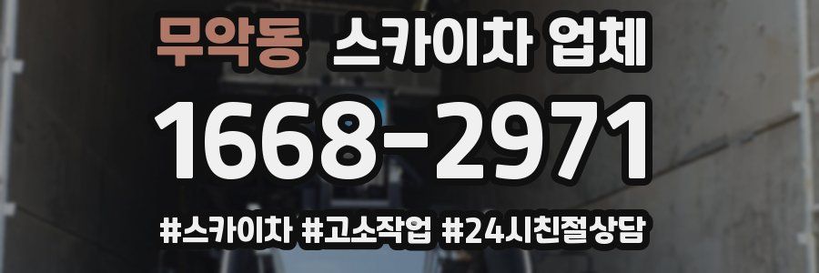 무악동 스카이차 업체