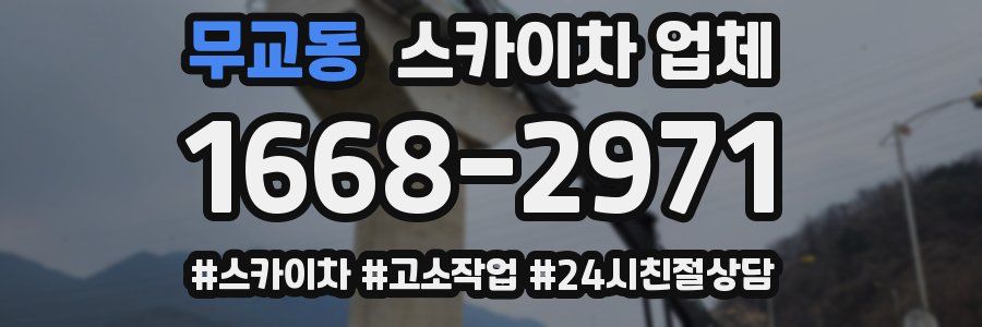 무교동 스카이차 업체