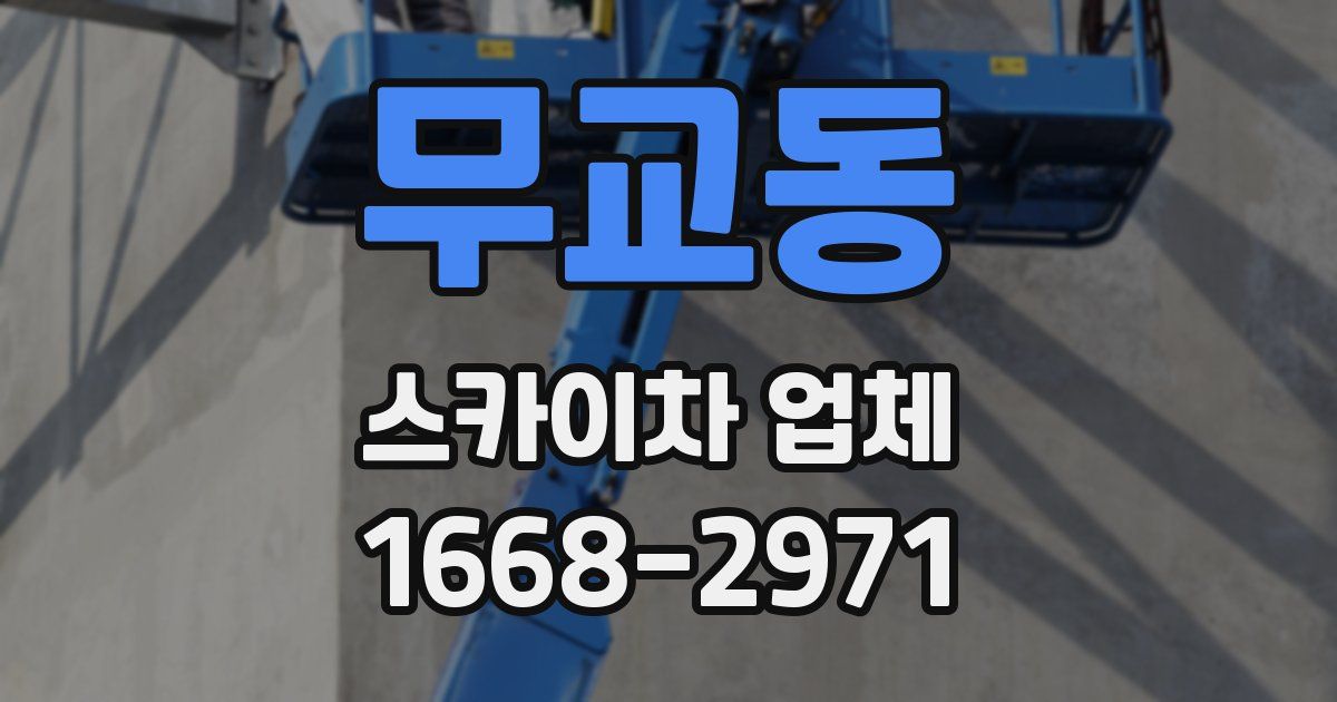 무교동 스카이차 업체