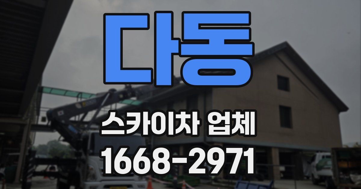 다동 스카이차 업체