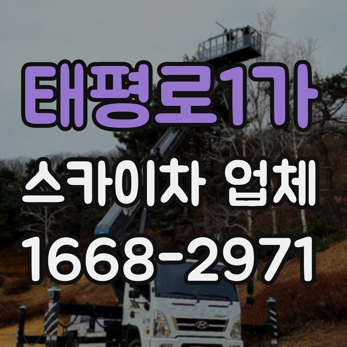 태평로1가 스카이차 업체 이용이 편리한 공사와 점검 상황