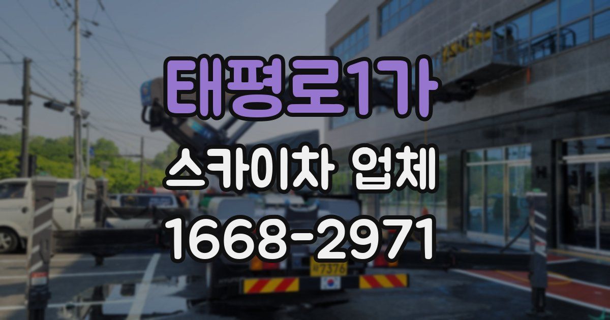 태평로1가 스카이차 업체