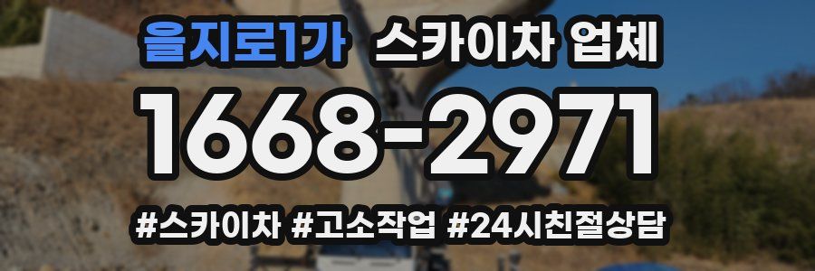 을지로1가 스카이차 업체