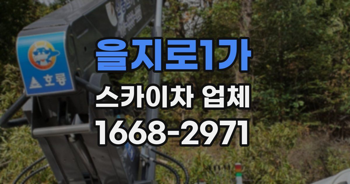 을지로1가 스카이차 업체