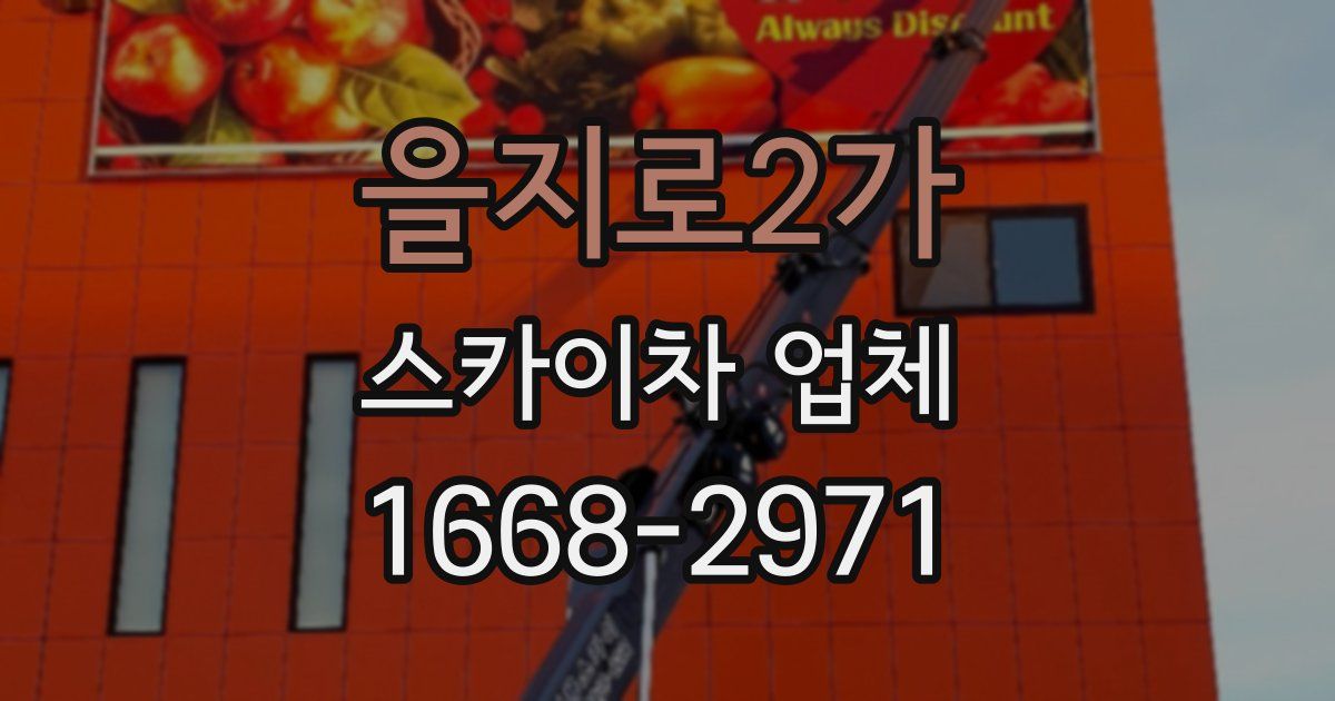 을지로2가 스카이차 업체
