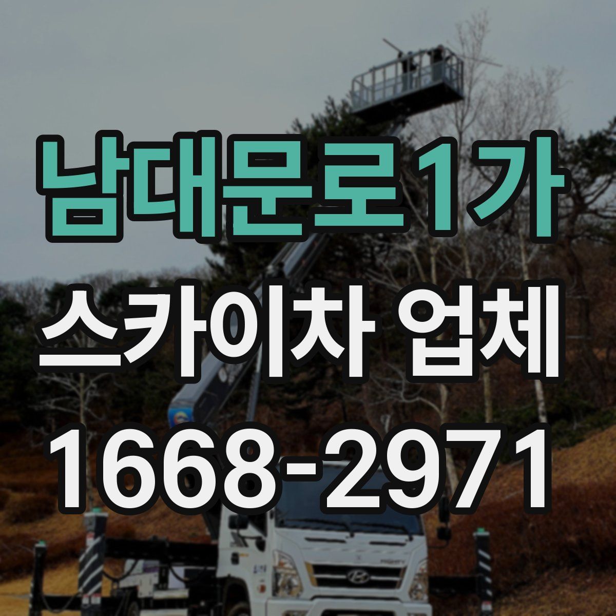 남대문로1가 스카이차 업체