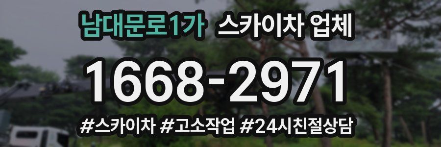 남대문로1가 스카이차 업체