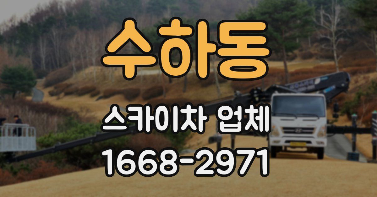 수하동 스카이차 업체