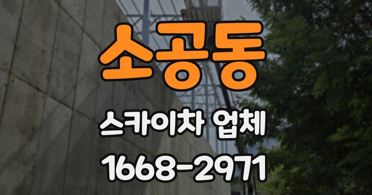 소공동 스카이차 업체