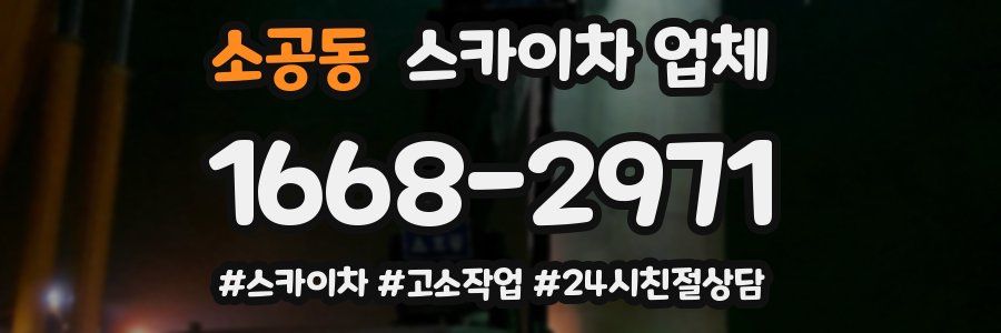 소공동 스카이차 업체