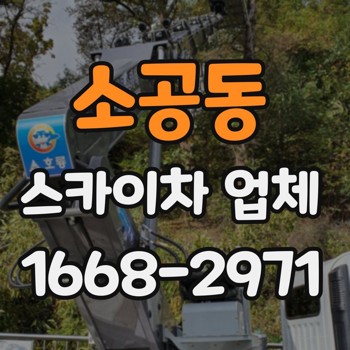 소공동 스카이차 업체