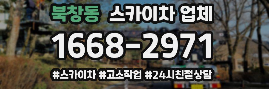 북창동 스카이차 업체