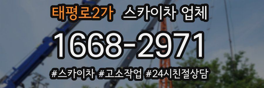 태평로2가 스카이차 업체